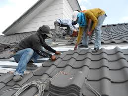 Best Roof Ventilation Installation  in La Joya, TX